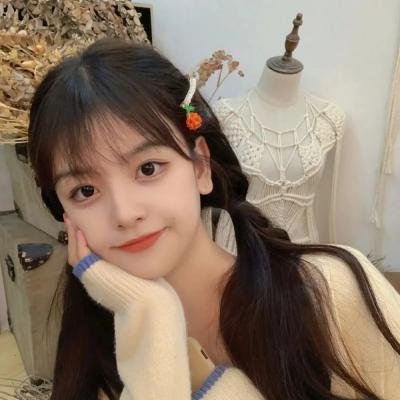 脱欧：无理之战